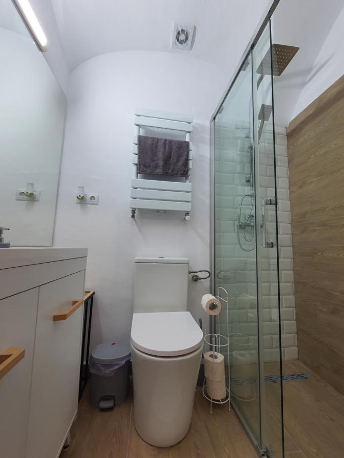 Lucasi Apartament シビウ エクステリア 写真